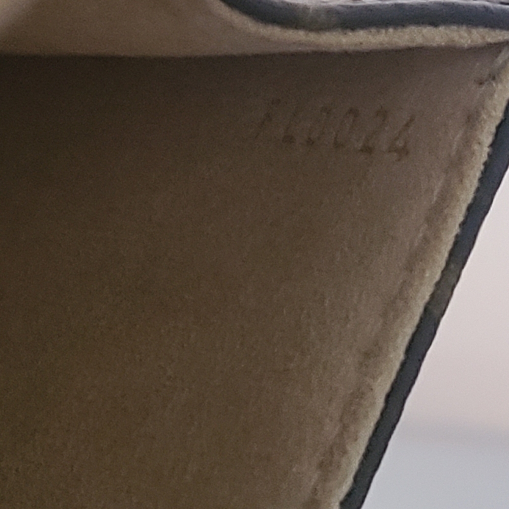 Louis Vuitton Monogram Pouchette Florentine Bum Bag - Picture 4 of 16